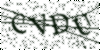 If you cannot read this image, please contact us at info@womensdeclaration.com.