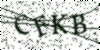 If you cannot read this image, please contact us at info@womensdeclaration.com.