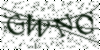 If you cannot read this image, please contact us at info@womensdeclaration.com.
