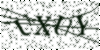 If you cannot read this image, please contact us at info@womensdeclaration.com.