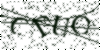 If you cannot read this image, please contact us at info@womensdeclaration.com.