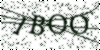 If you cannot read this image, please contact us at info@womensdeclaration.com.