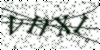 If you cannot read this image, please contact us at info@womensdeclaration.com.