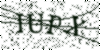 If you cannot read this image, please contact us at info@womensdeclaration.com.