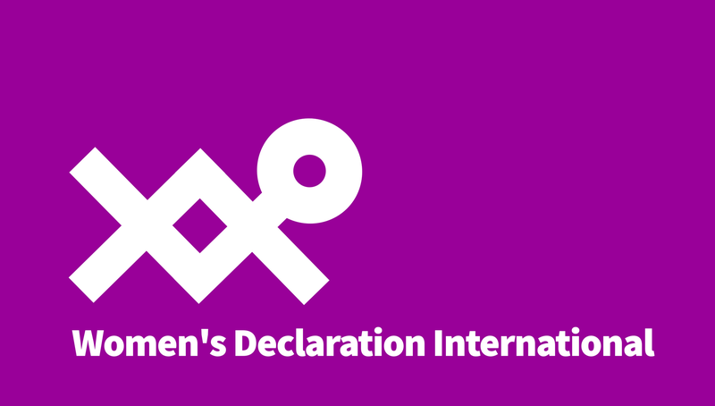 womensdeclarationinternational 5050